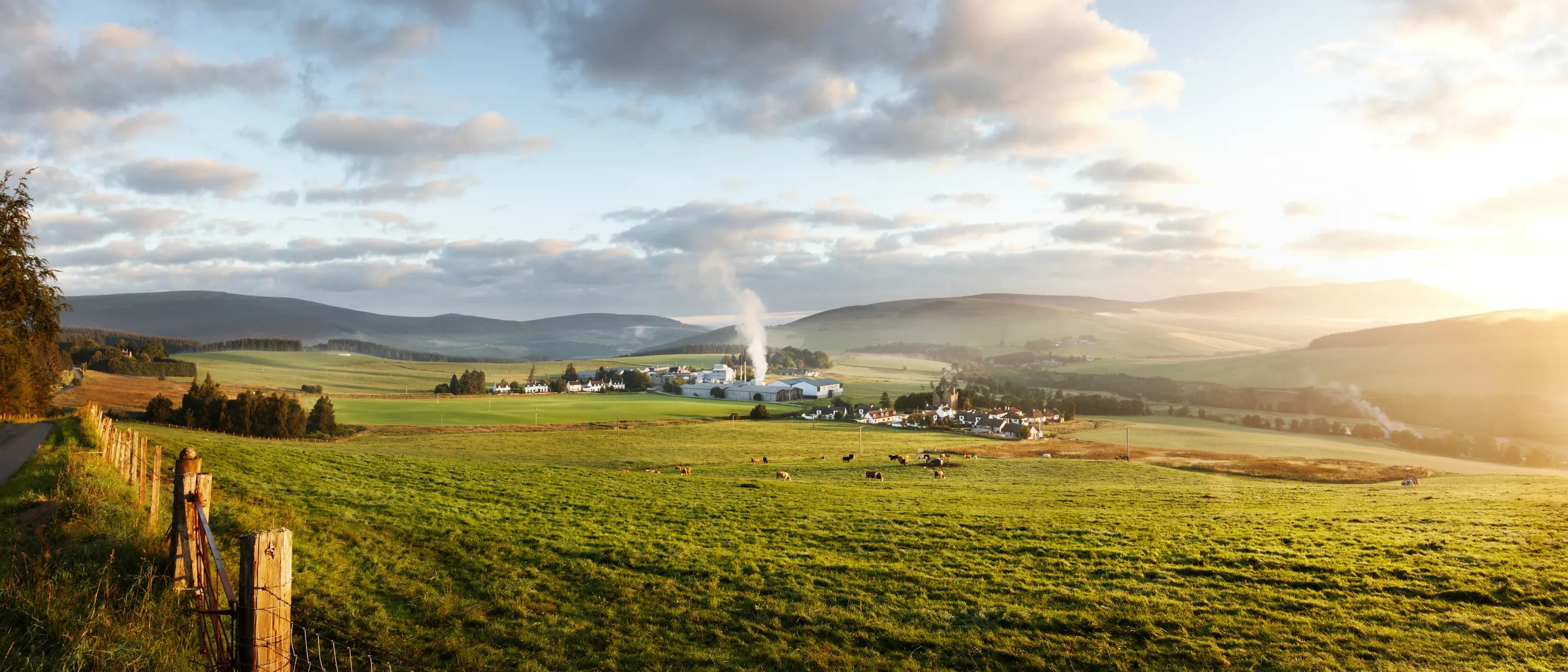 A distillery set into its landscape